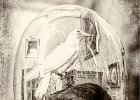 Steve Dorey_Black and White.jpg : Calke Abbey
